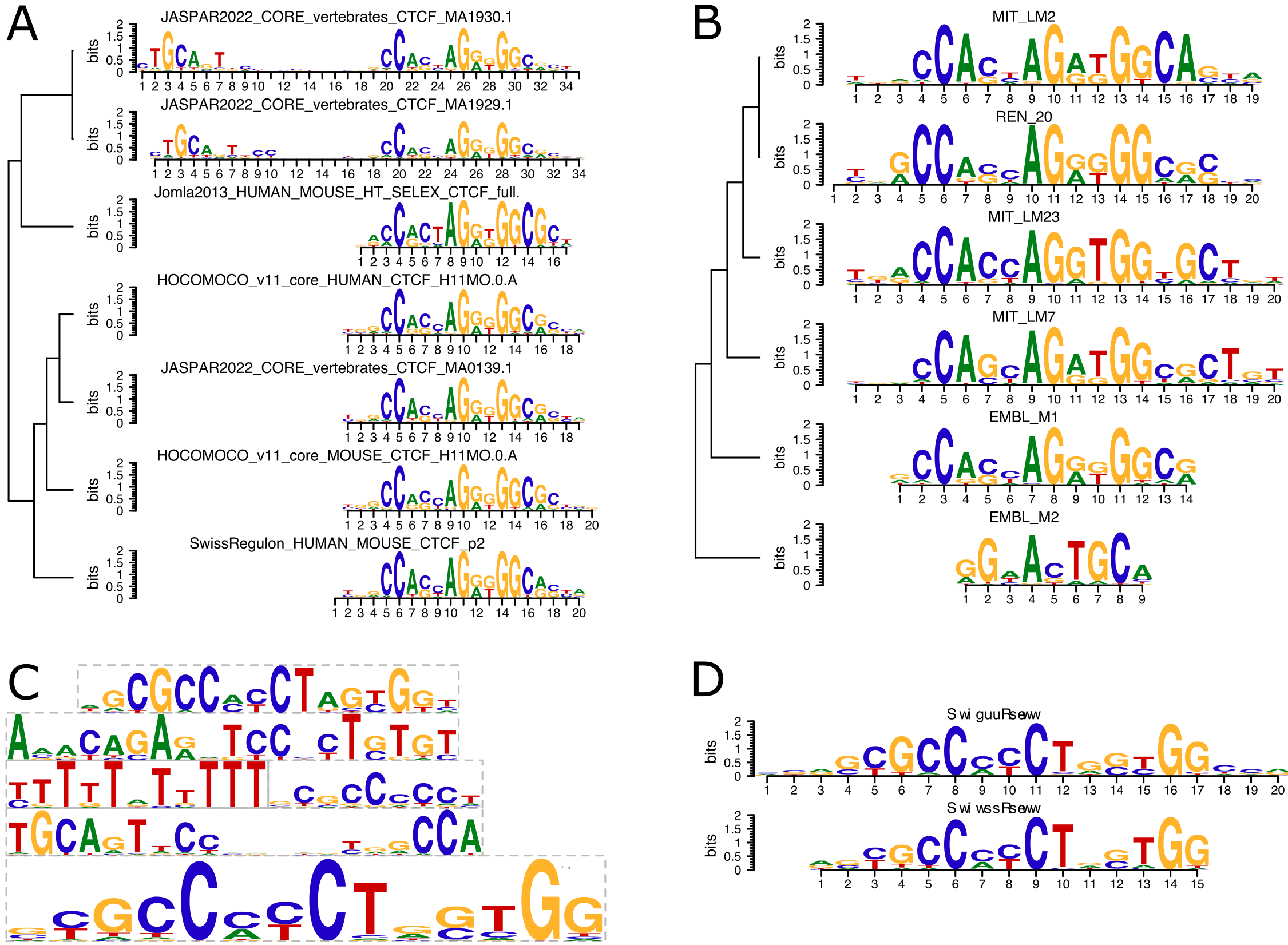 Genomic coordinates of CTCF binding sites, with orientation • CTCF